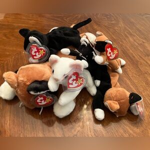 Lot of 6 cats Ty Beanie Babies Teeny. Pet free and smoke free home.